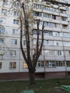 Фото від 6 квітня 2020 року