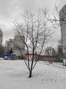 Фото від 12 лютого 2023 року