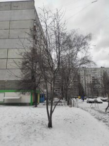 Фото від 12 лютого 2023 року