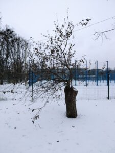 Фото від 11.02.2021