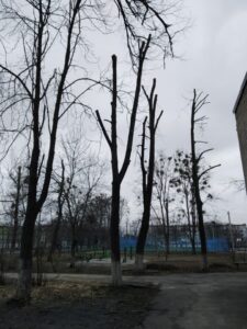 Фото від 05.03.2021