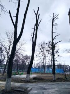 Фото від 05.03.2021