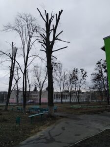 Фото від 05.03.2021