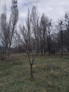 Фото від 13.04.2021