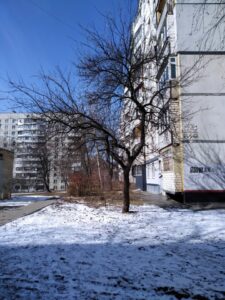 Фото від 10.03.2021