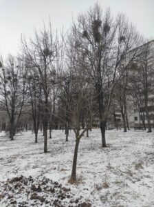 Фото від 13 лютого 2023 року