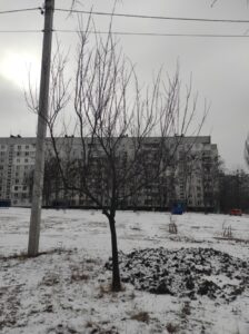 Фото від 13 лютого 2023 року