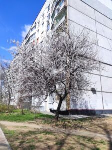 Світлина від 7 квітня 2024 року