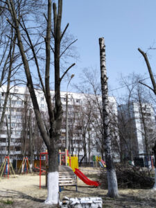 Фото від 12.04.2021