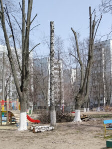 Фото від 12.04.2021