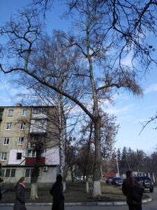 Фото від 01.04.2021