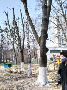 Фото від 12.04.2021