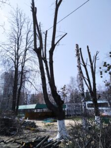 Фото від 12.04.2021