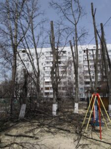 Фото від 12.04.2021
