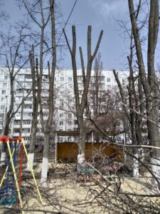 Фото від 12.04.2021