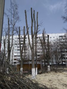 Фото від 12.04.2021