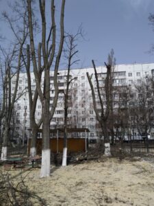 Фото від 12.04.2021