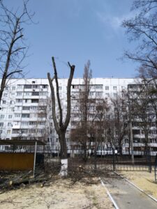 Фото від 12.04.2021