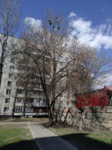 Фото від 25 квітня 2021