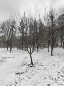 Фото від 12 лютого 2023 року