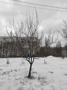 Фото від 12 лютого 2023 року