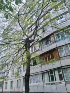 Фото від 3 травня 2021
