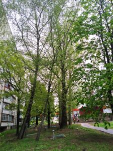 Фото від 5 травня 2021