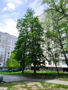 Фото від 6 травня 2021