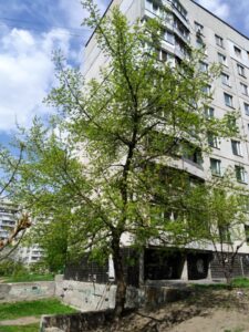 Фото від 6 травня 2021