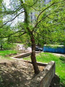 Фото від 6 травня 2021
