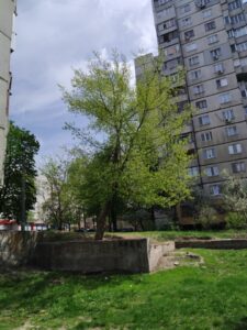 Фото від 6 травня 2021