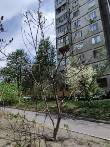 Фото від 06 травня 2021
