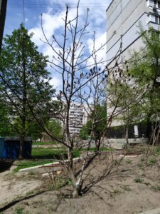 Фото від 06 травня 2021