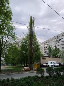 Фото від 06 травня 2021