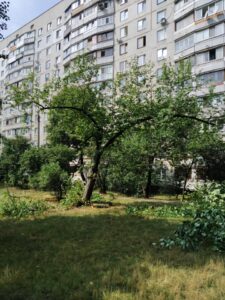 Фото від 27 серпня 2021