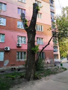 Фото від 1 травня 2020