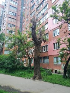 Фото від 6 червня 2021