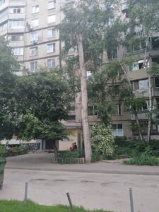 Фото від 20 червня 2021 року