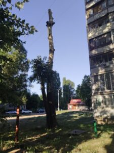 Фото від 14 липня 2021
