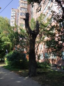 Фото від 1 жовтня 2021