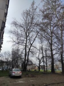 Фото від 1 квітня 2024 року