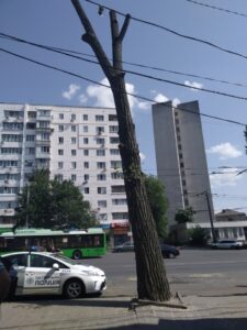 Фото від 20 липня 2021