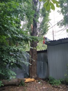 Фото від 21 липня 2021