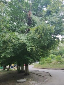 Фото від 21 липня 2021