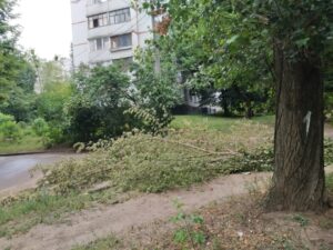 Фото від 21 липня 2021