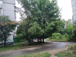 Фото від 21 липня 2021