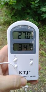 24 июля 2021 В тени груши