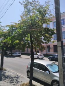 Фото від 27 липня 2021