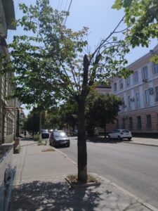 Фото від 27 липня 2021