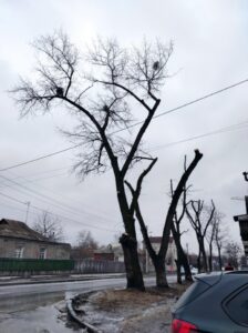 Фото від 18 лютого 2022